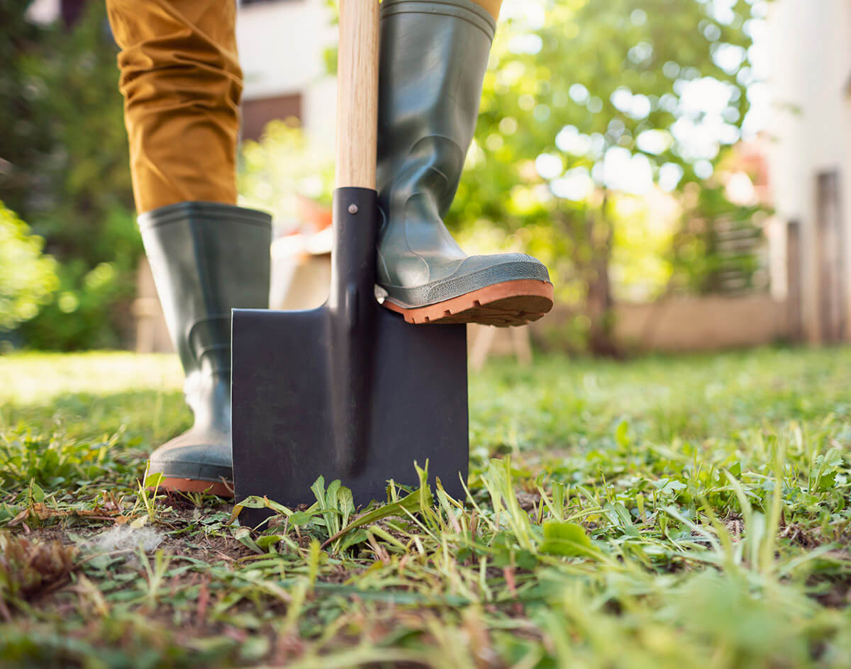 Xcel Solutions Login