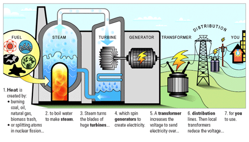 biomass power plant