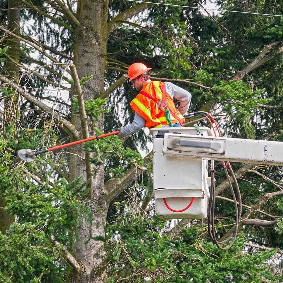 Outage Checklist Outages & Safety Xcel Energy